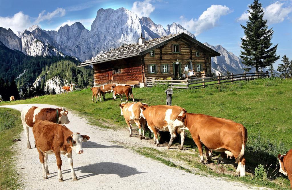 Ferienwohnungen Schweinoester Lofer Exterior foto