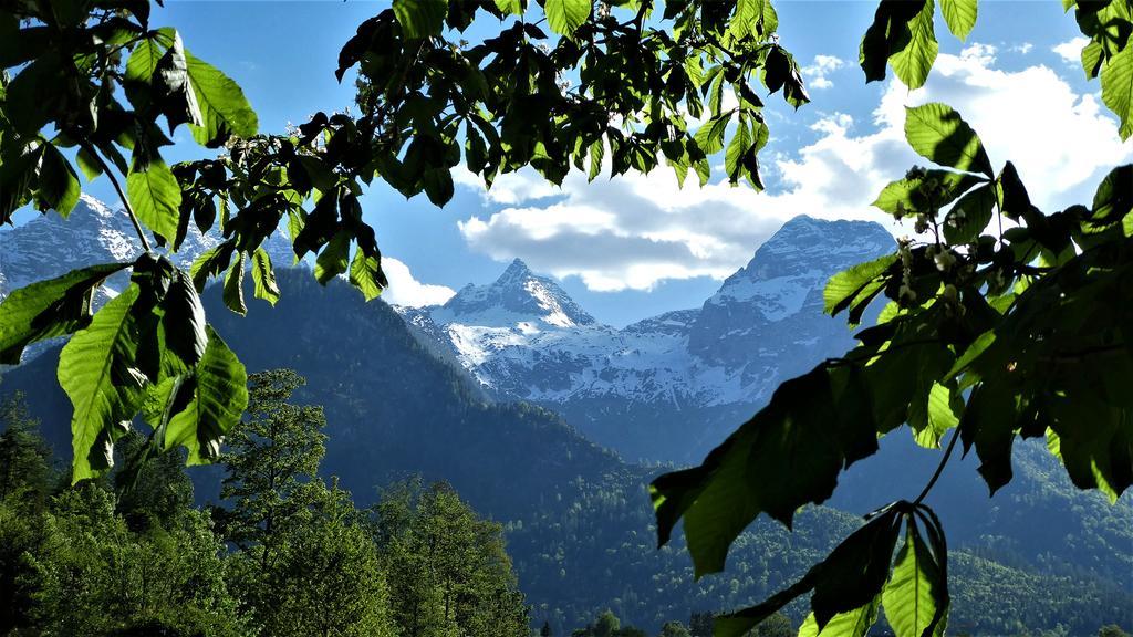 Ferienwohnungen Schweinoester Lofer Exterior foto